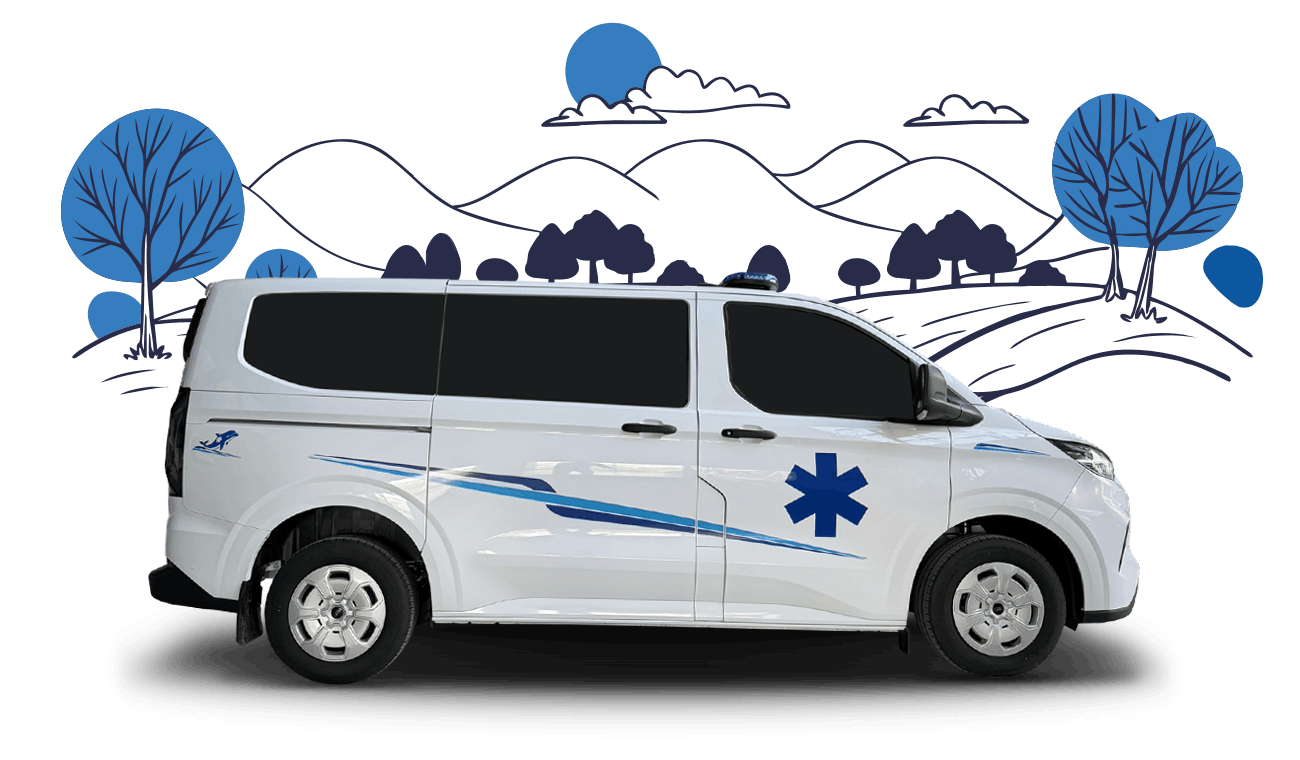 Type A – Ford – Custom 2026 – 03 – min